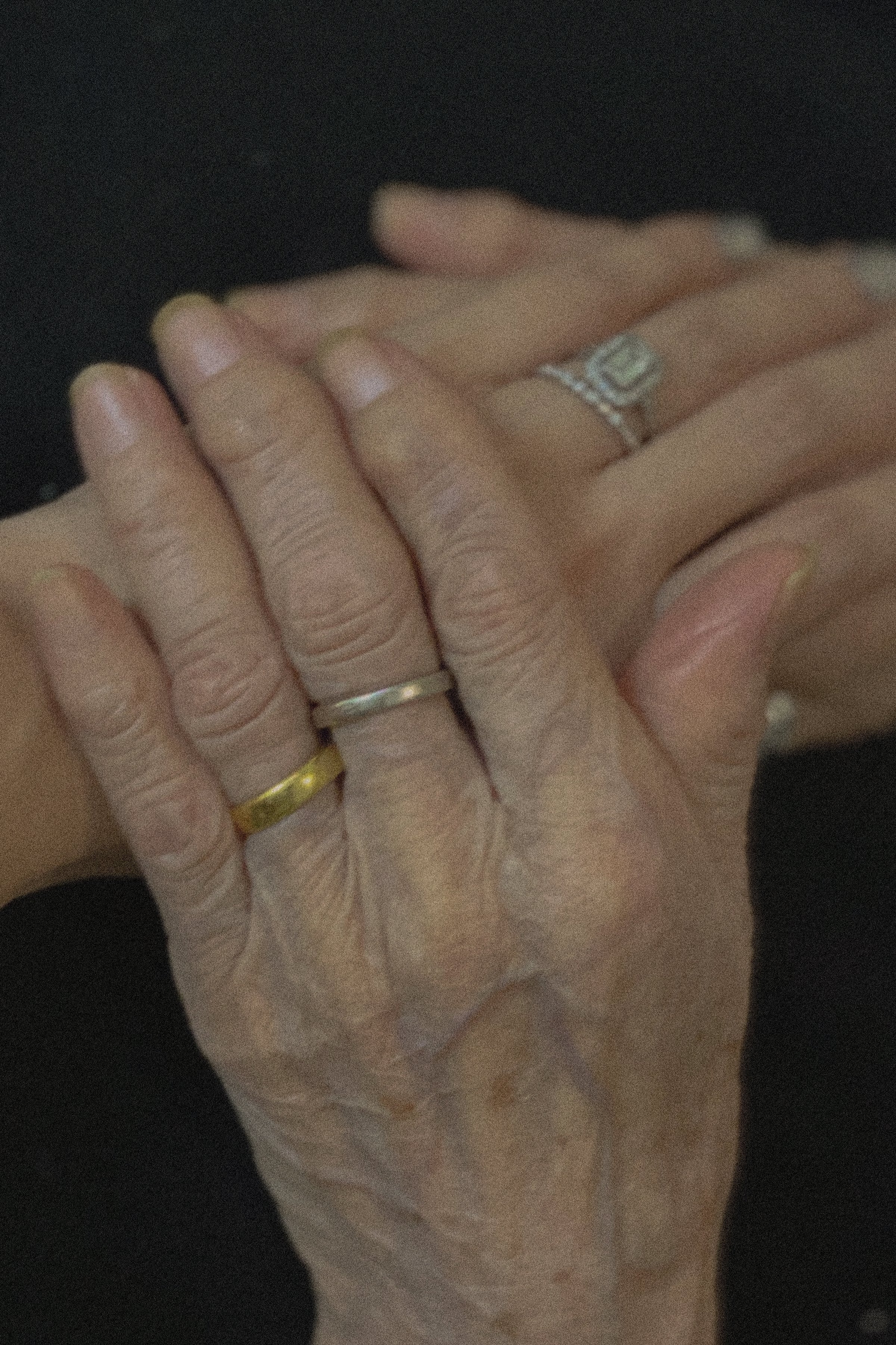 THE GUIDING HANDS